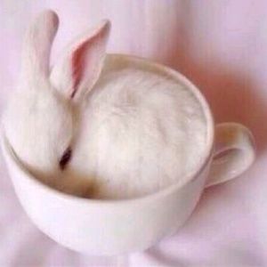 Meet your Posher, Ashton